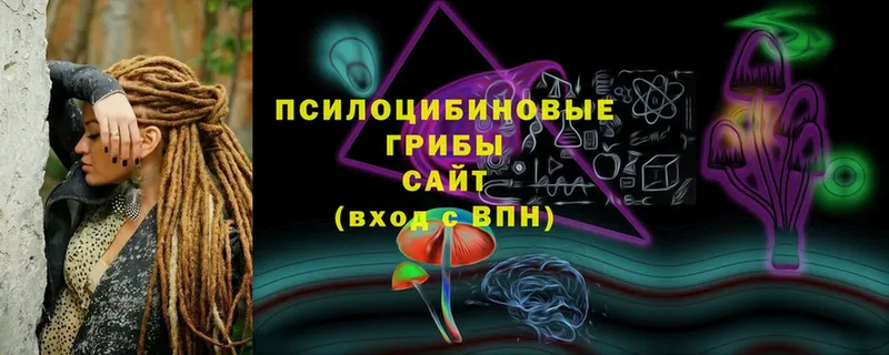 Псилоцибиновые грибы Magic Shrooms  кракен как зайти  Буйнакск 